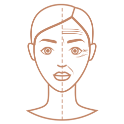 Dermal Fillers Icon